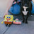 SpongeBob Dog Toy Officially Licensed by Nickelodeon