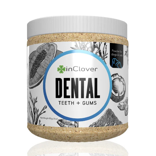 Dental Supplement for Dogs + Cats