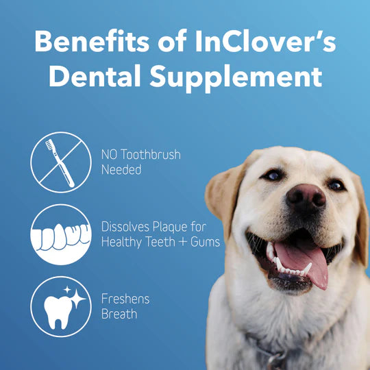 Dental Supplement for Dogs + Cats