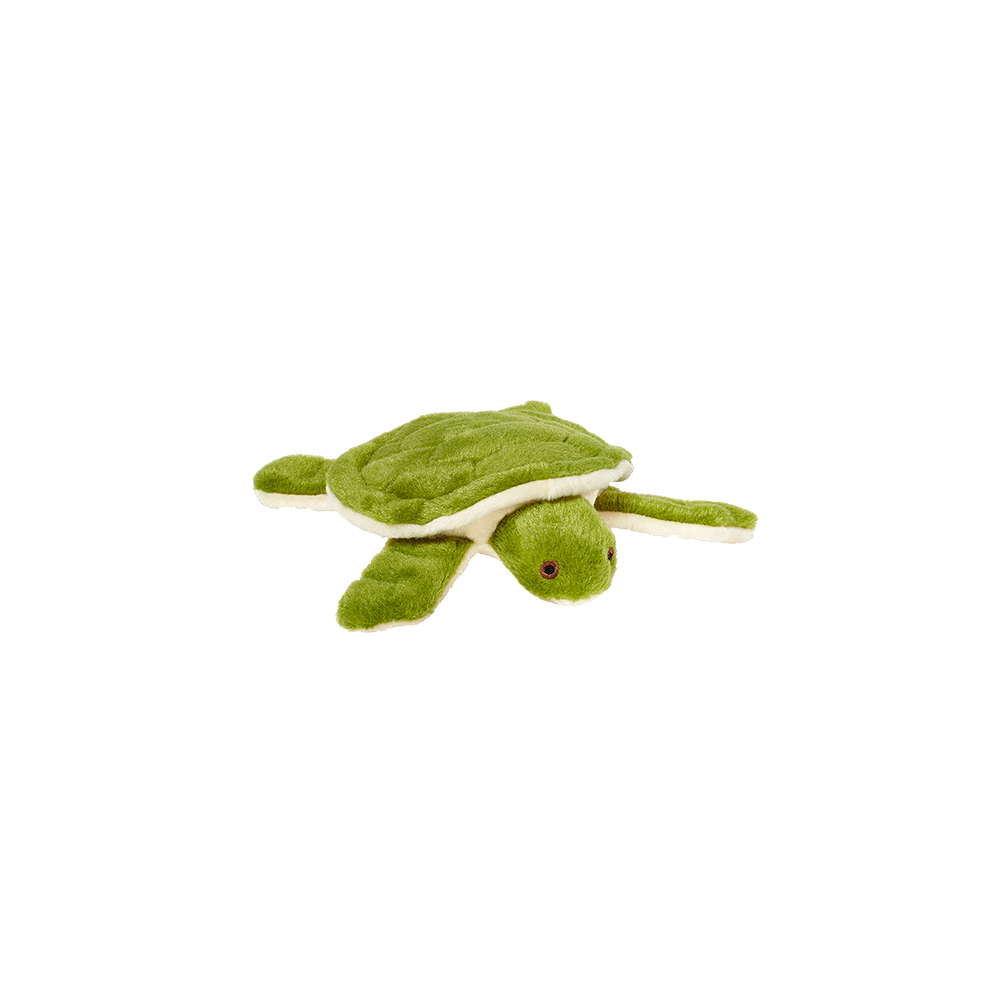 Esmeralda Turtle