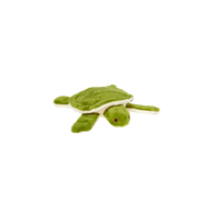 Esmeralda Turtle