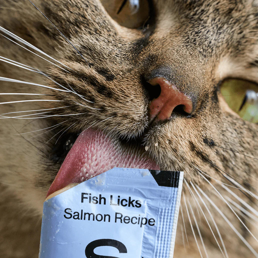 Smalls Lickable Treat for Cats - Salmon 8 Pack