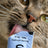 Smalls Lickable Treat for Cats - Salmon 8 Pack