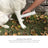 Pure and Natural Pet Flea and Tick Spray for Dogs