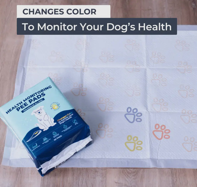 Health Monitoring Pee Pads