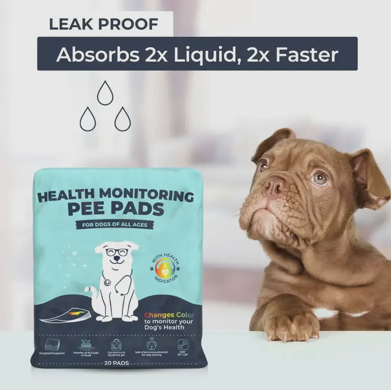 Health Monitoring Pee Pads