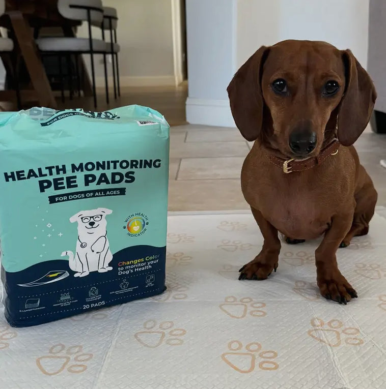 Health Monitoring Pee Pads
