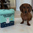 Health Monitoring Pee Pads