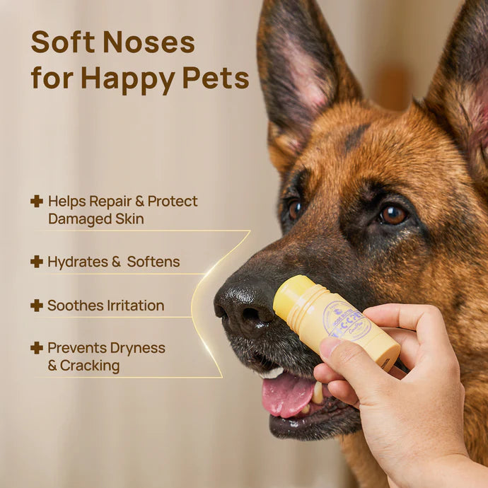 HICC Pet® Nose Balm Butter for Cats and Dogs