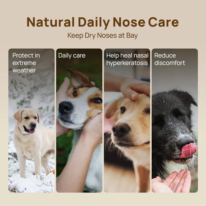 HICC Pet® Nose Balm Butter for Cats and Dogs