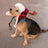 Huxley & Kent Snugfit® Holiday Dog Hat - Adjustable, Cozy, & Warm for Winter Fun - Buffalo Check with Antlers