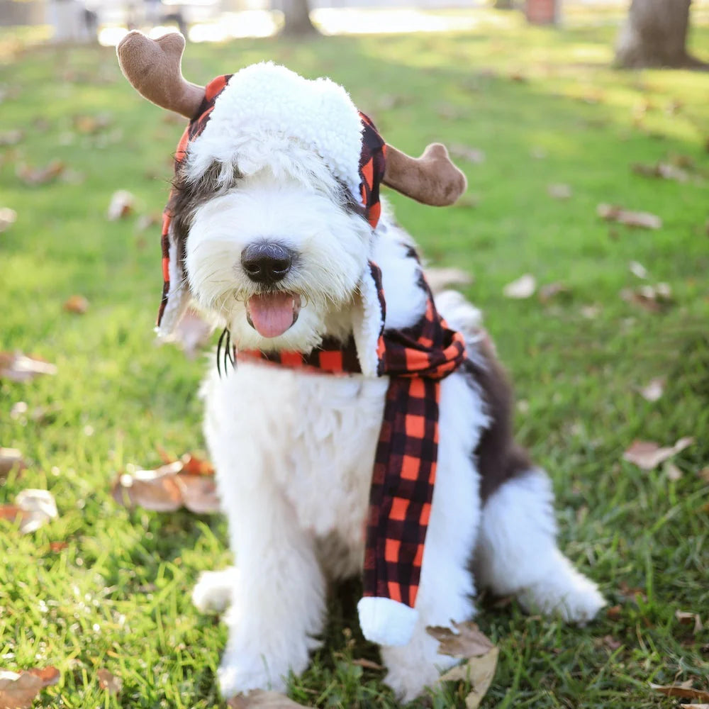 Huxley & Kent Snugfit® Holiday Dog Hat - Adjustable, Cozy, & Warm for Winter Fun - Buffalo Check with Antlers