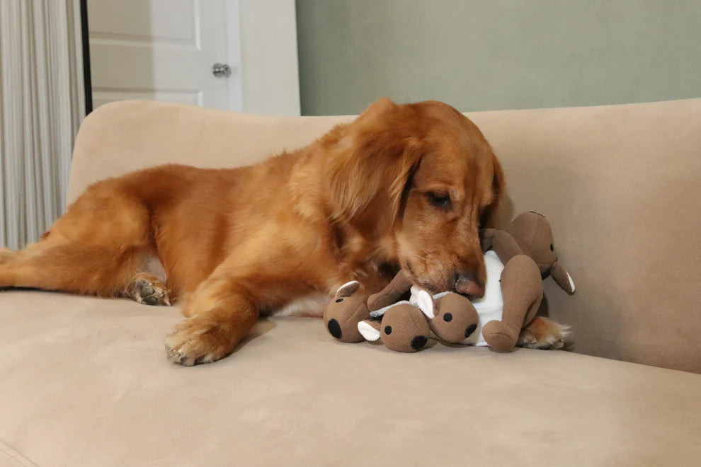 Kangaroo Snuffle Toy