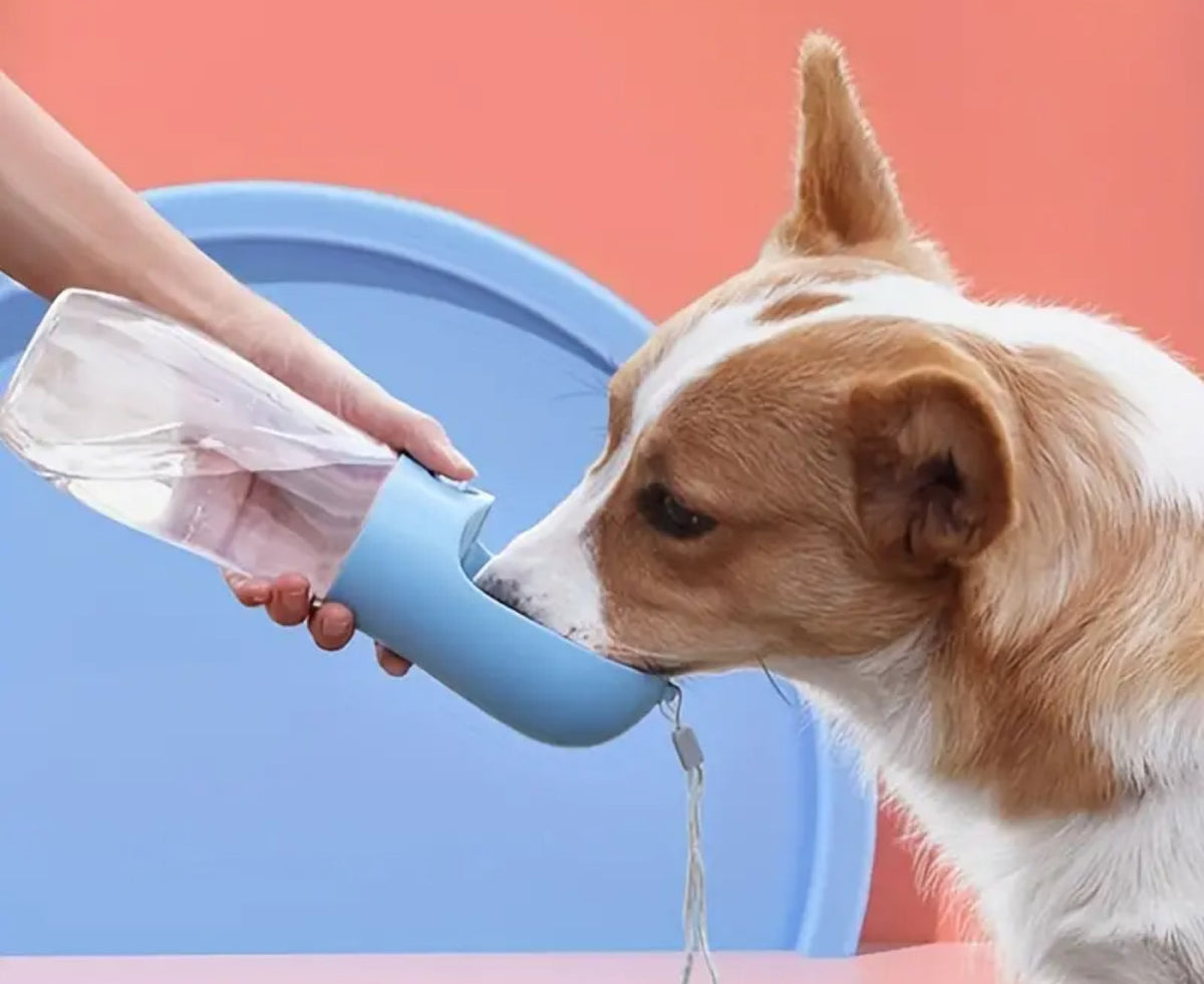 Portable Water Dispenser