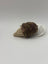 Ice Cream Catnip Toys