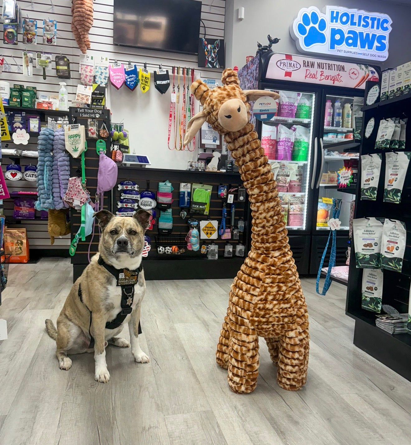 Giraffe Dog Toy