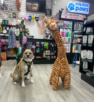 Giraffe Dog Toy