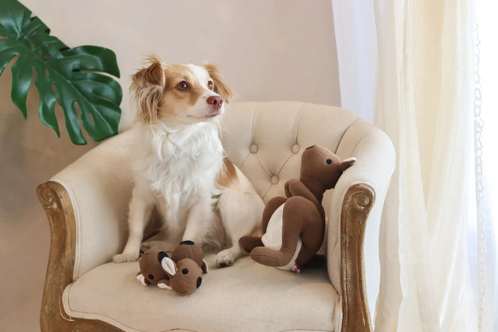 Kangaroo Snuffle Toy