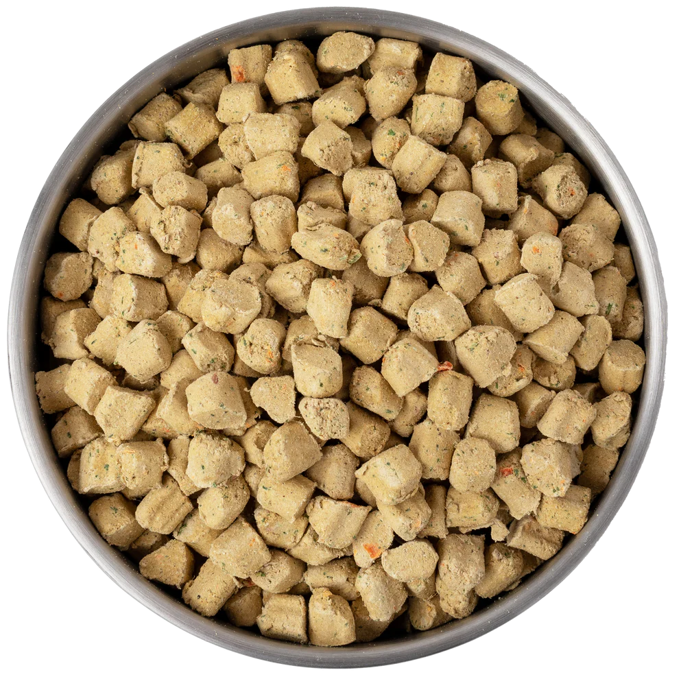 Kibble in the Raw Dog Food Beef Recipe