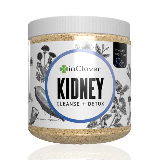Kidney Supplement for Dogs + Cats