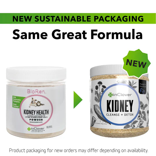 Kidney Supplement for Dogs + Cats