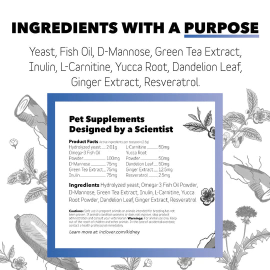Kidney Supplement for Dogs + Cats