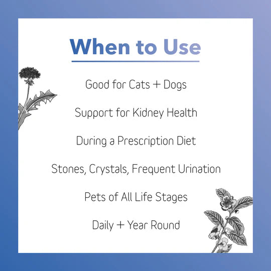 Kidney Supplement for Dogs + Cats