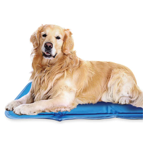 Cool Pet Pad - Blue