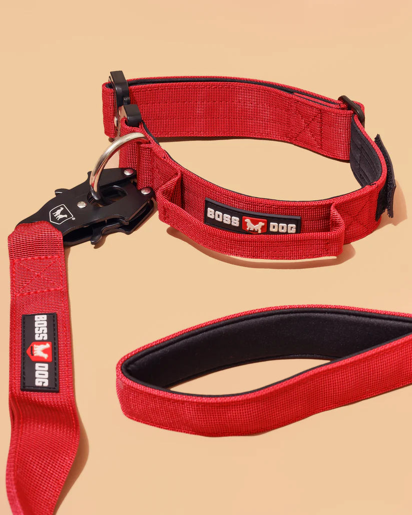 Boss Dog Unbreakable Tactical Collar - Green Camo