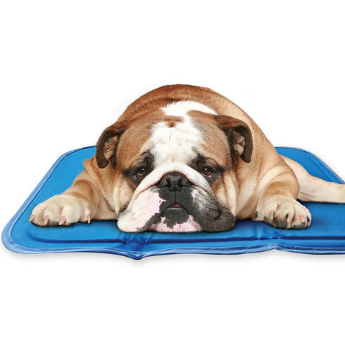 Cool Pet Pad - Blue