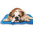 Cool Pet Pad - Blue