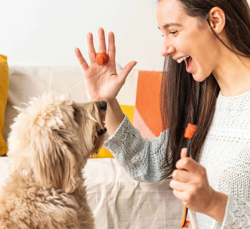 Combo BrushMate Pet Toothbrush & Medium BiteBlock- Dog Oral Care