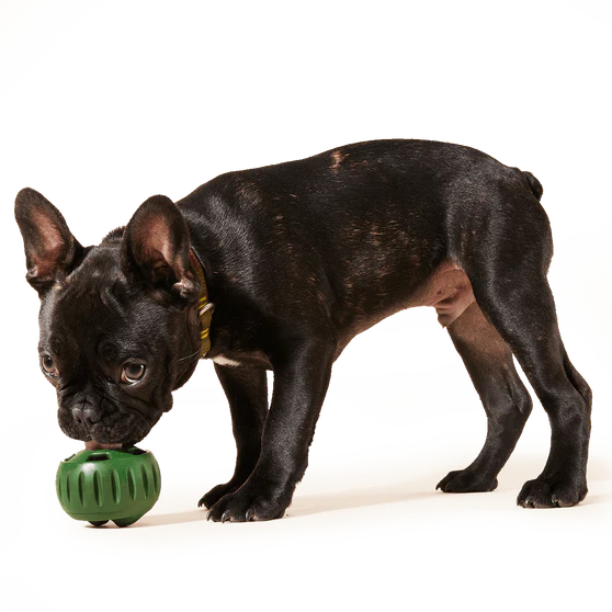WOOF Pupsicle Refill Pops