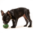 WOOF Pupsicle Refill Pops