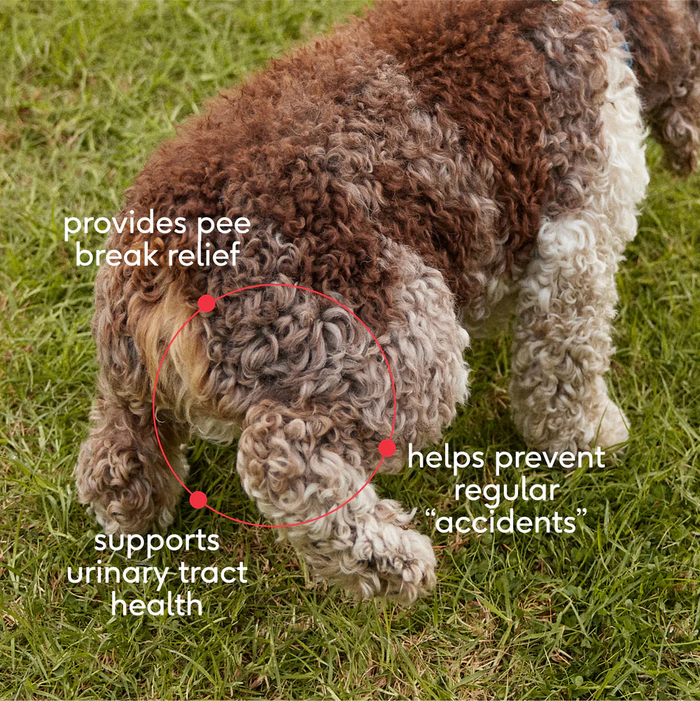 Native Pet Bladder