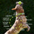 The Daily - Native Pet