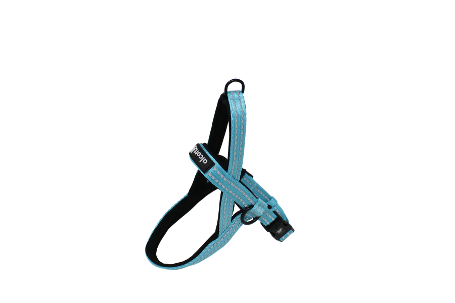 Norwegian Harness with Handle - Blue