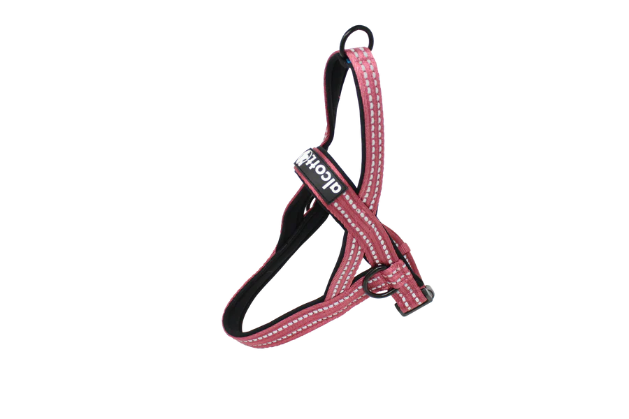 Norwegian Harness with Handle - Wine Red