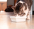 Open Farm Chicken & Salmon Rustic Blend Wet Cat Food