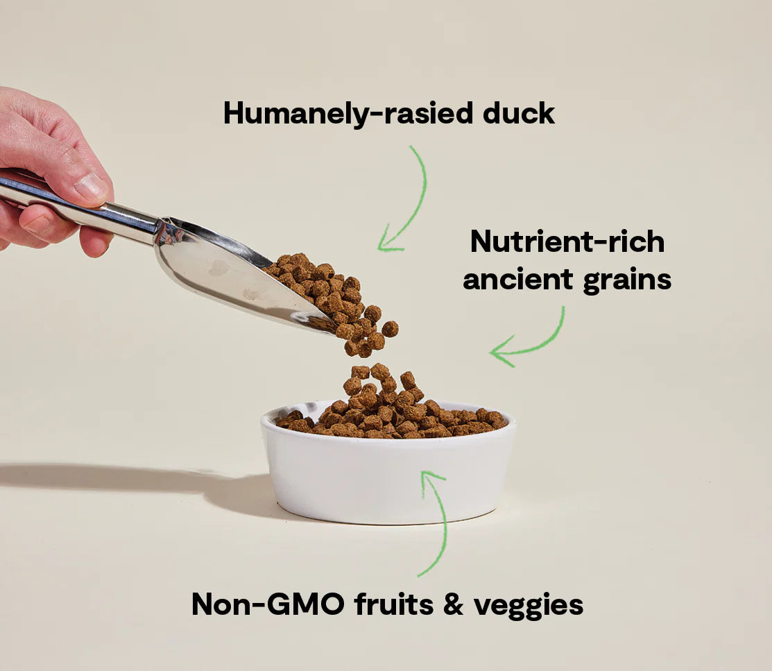Farmstead Duck Ancient Grains Dog Kibble
