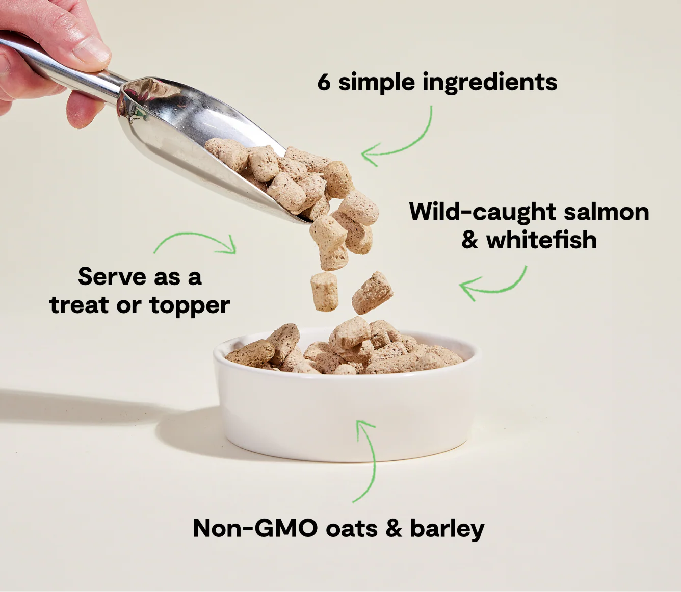 Open Farm Goodbowl™ Wild-Caught Salmon Freeze Dried Raw Morsels for Dogs