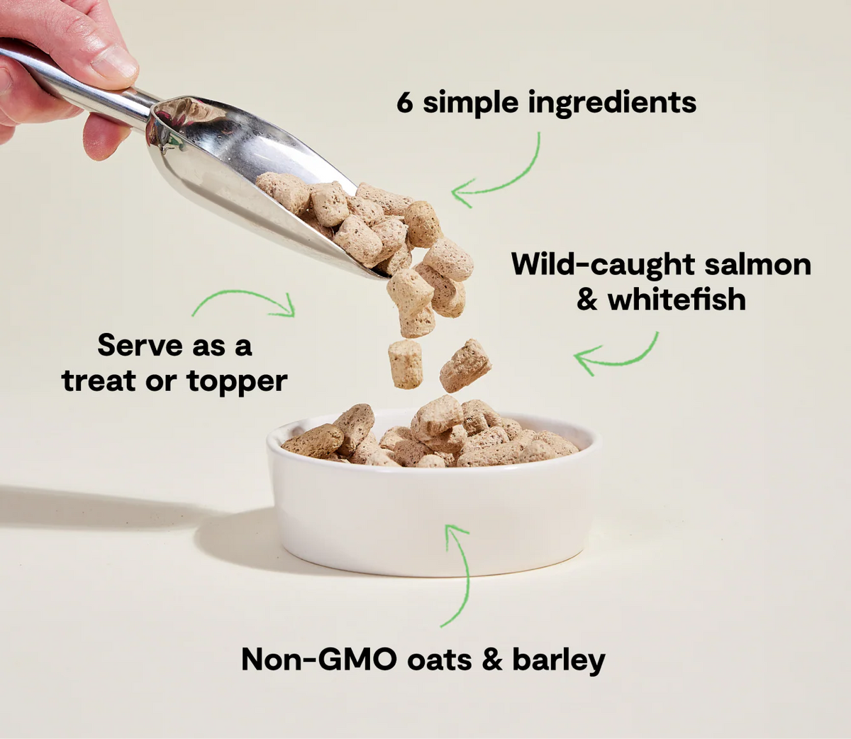 Open Farm Goodbowl™ Wild-Caught Salmon Freeze Dried Raw Morsels for Dogs