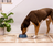 Farmstead Duck Ancient Grains Dog Kibble