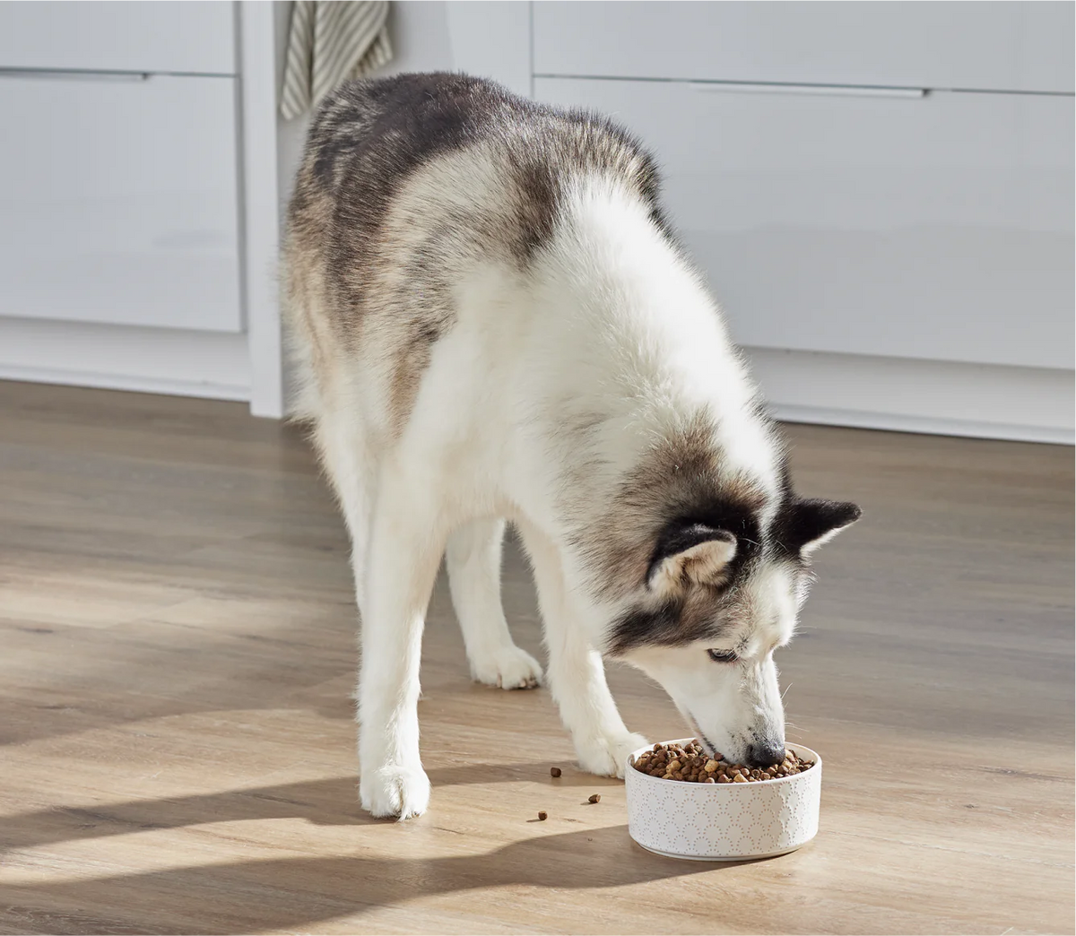 RawMix Wild Ocean Ancient Grains Dog Kibble