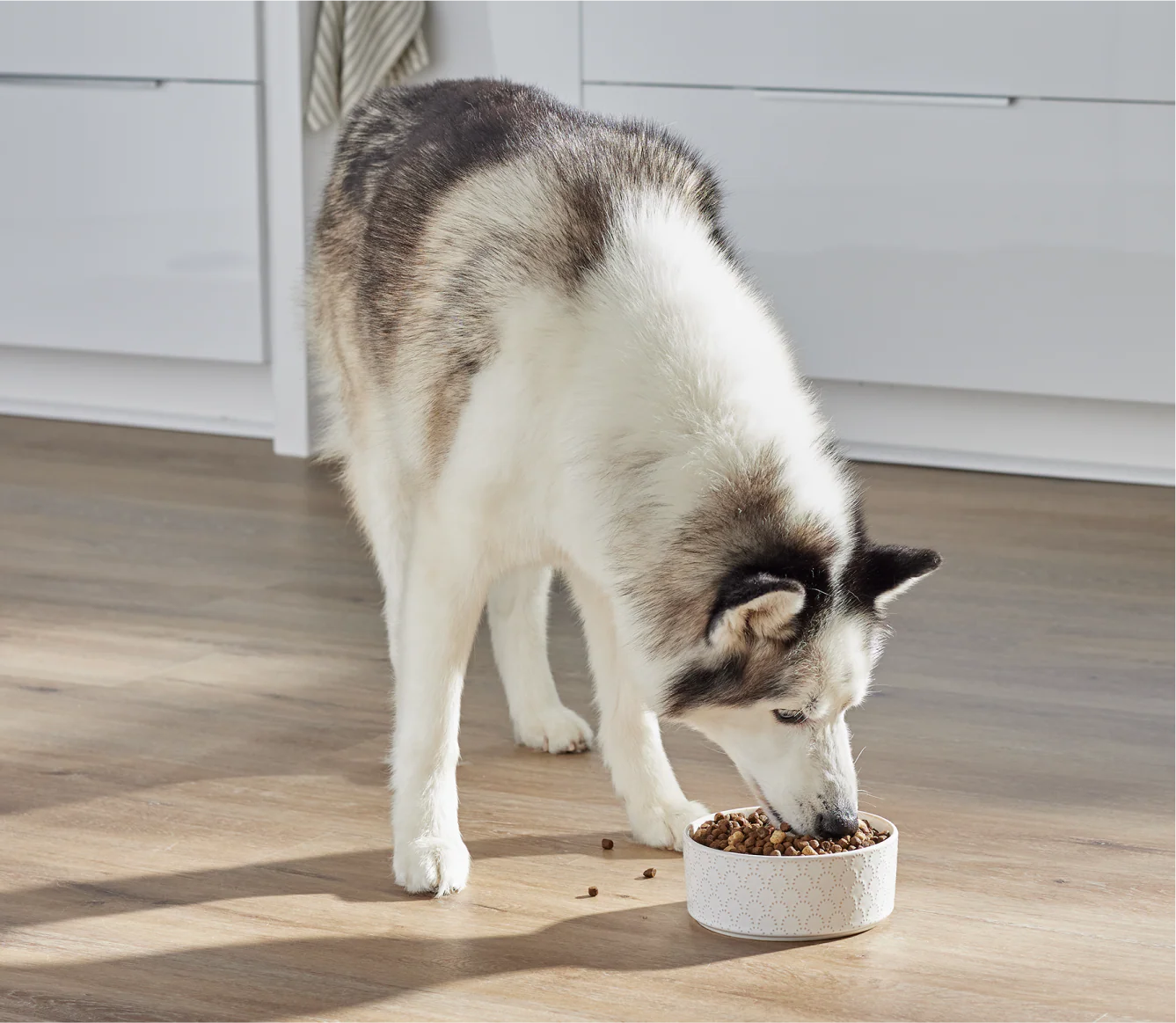 Open Farm RawMix Wild Ocean Ancient Grains Dog Kibble