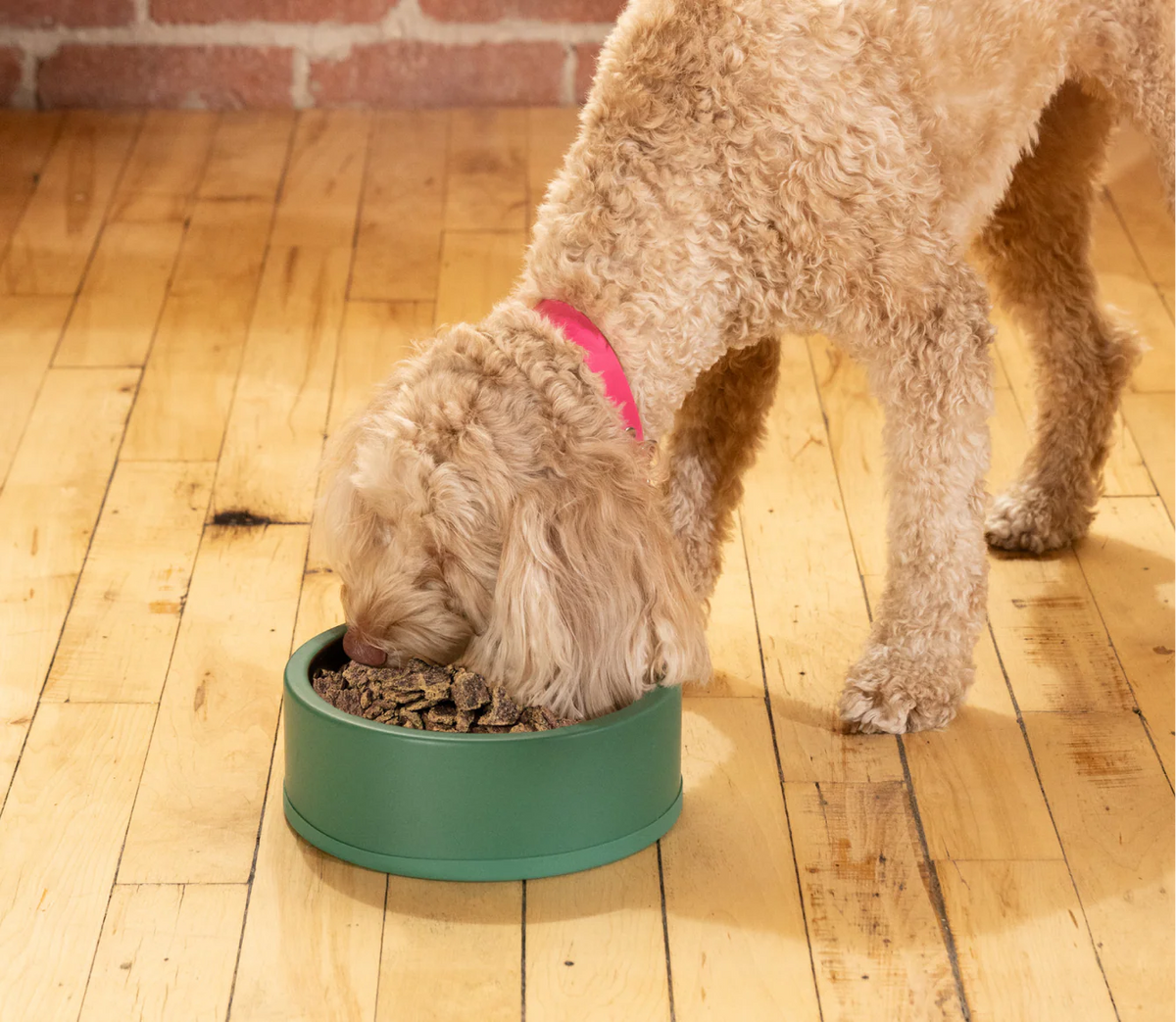 Open Farm Pollock & Lamb Air Dried Recipe for Dogs