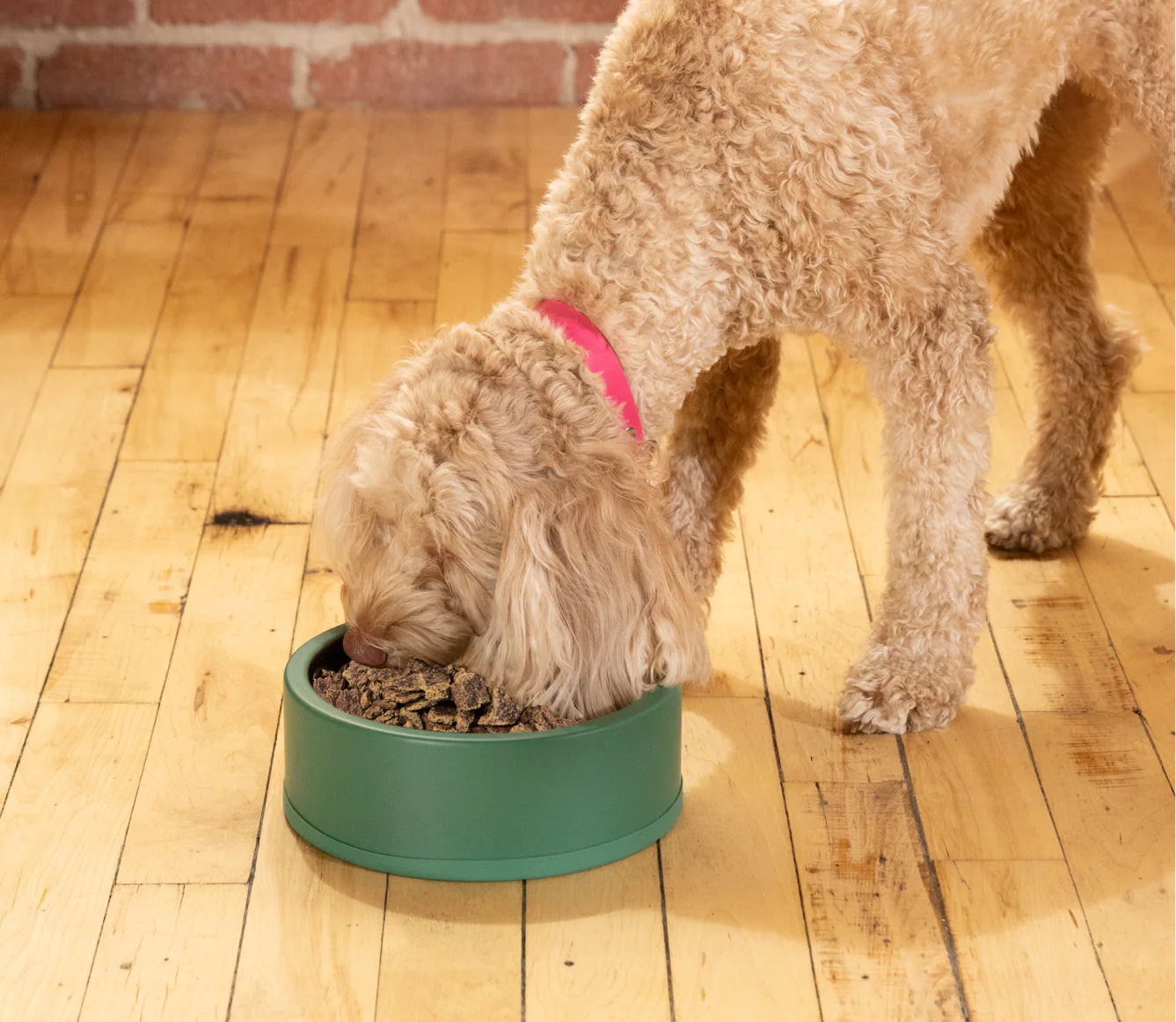Open Farm Pollock & Lamb Air Dried Recipe for Dogs