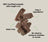 Open Farm Icelandic Air-Dried Cod & Blueberry Dog Treat Bars