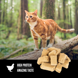 Orijen Freeze Dried Cat Treats