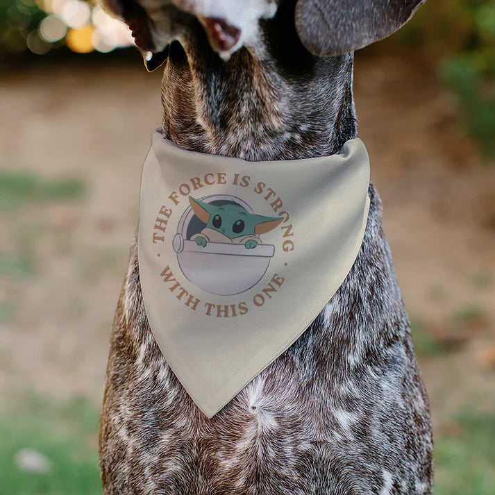Dog Bandana - Star Wars The Mandalorian THE FORCE IS STRONG Grogu Pod Pose